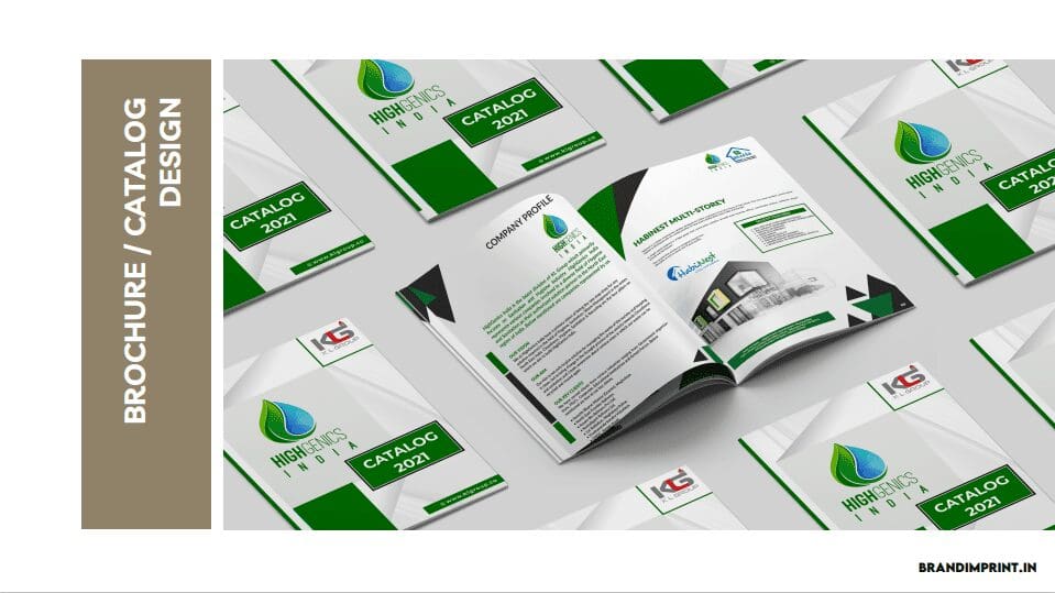 Brochure designing