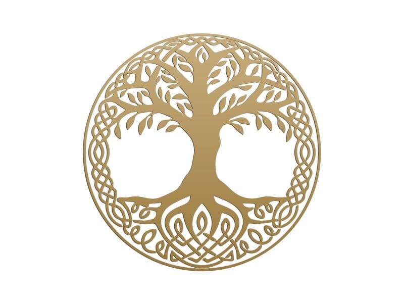 Client logo